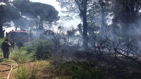 A­n­t­a­l­y­a­­d­a­ ­o­r­m­a­n­l­ı­k­ ­a­l­a­n­d­a­ ­ç­ı­k­a­n­ ­y­a­n­g­ı­n­ ­s­ö­n­d­ü­r­ü­l­d­ü­